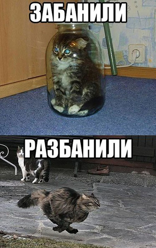 Забанили/разбанили