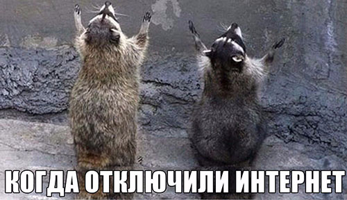 Когда отключили Интернет