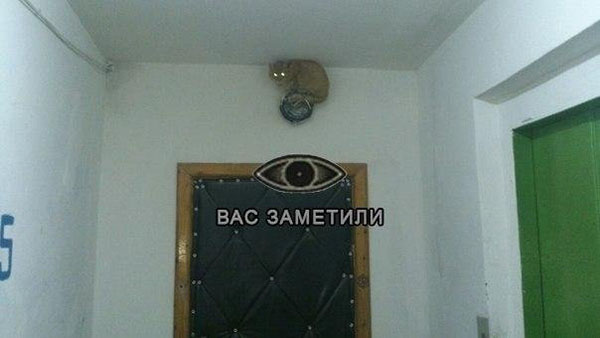 Вас заметили