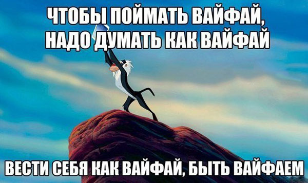 Чтобы поймать ВайФай, надо думать как ВайФай