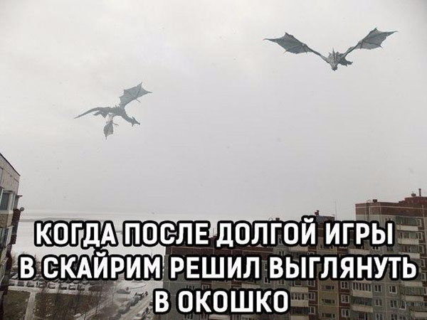 Выглянул в окно после Скайрим