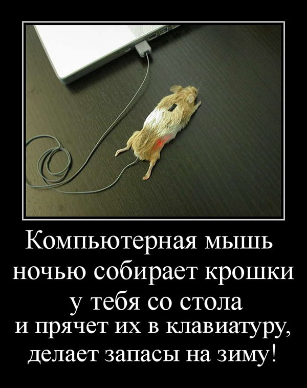 Компьютерная мышка ночью собирает в клавиатуру запасы на зиму