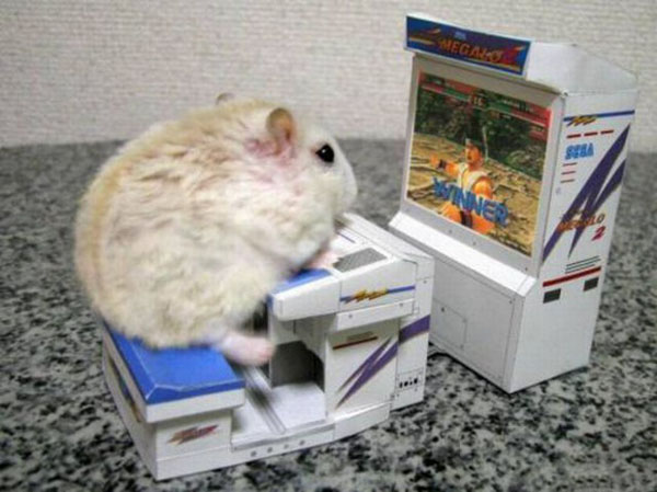 Животные-геймеры