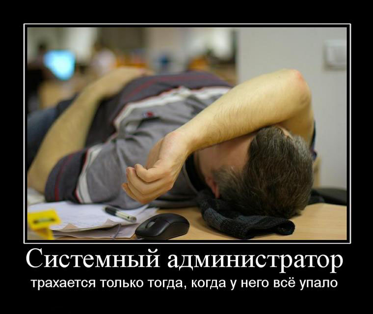 Системный администратор