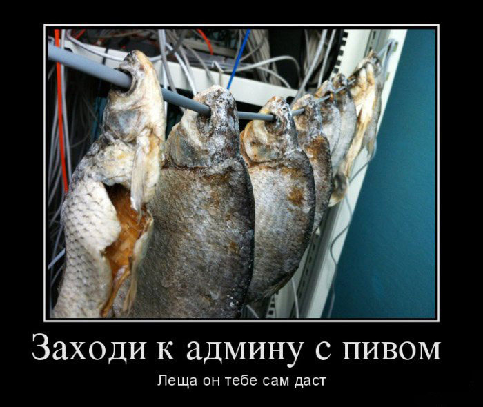 Заходи к админу