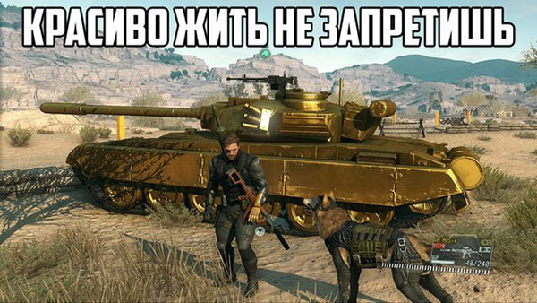 Красиво жить не запретишь