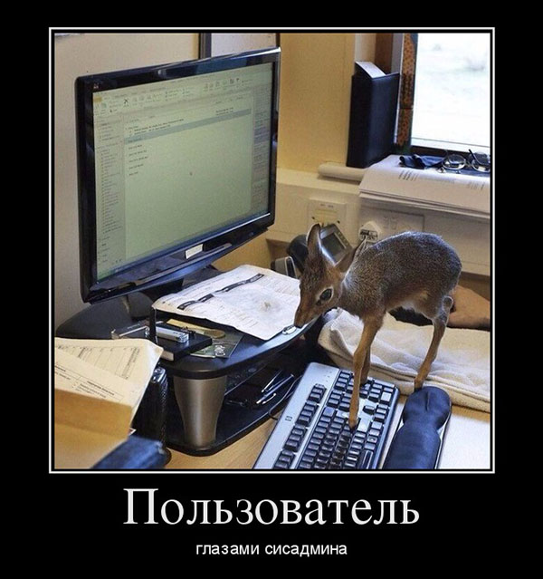 Пользователь глазами сисадмина