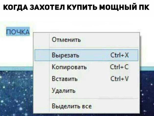 Когда захотел купить мощный ПК
