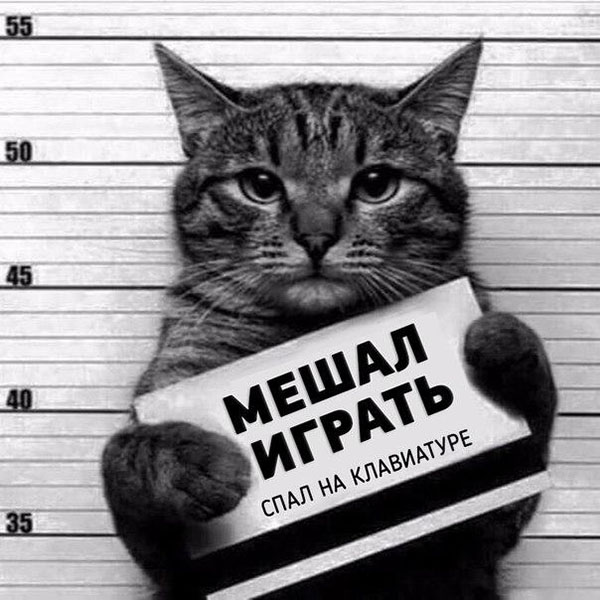 Мешал играть