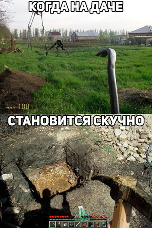 Когда на даче становится скучно