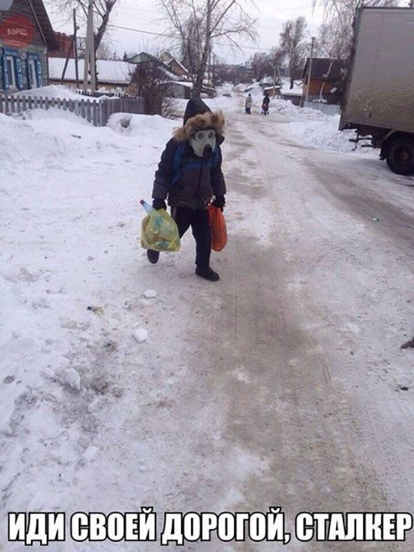 Иди своей дорогой, сталкер
