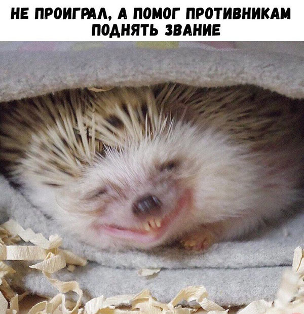 Юмор про игры, компьютеры, геймеров,ITшников и программистов