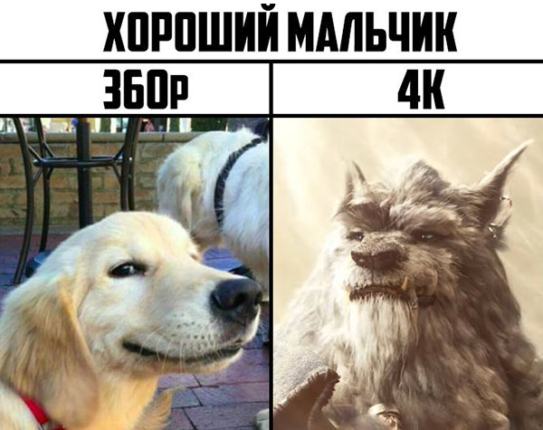 Юмор про игры, компьютеры, геймеров,ITшников и программистов