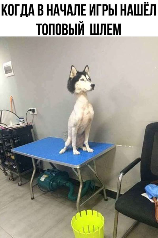 Юмор про игры, компьютеры, геймеров,ITшников и программистов