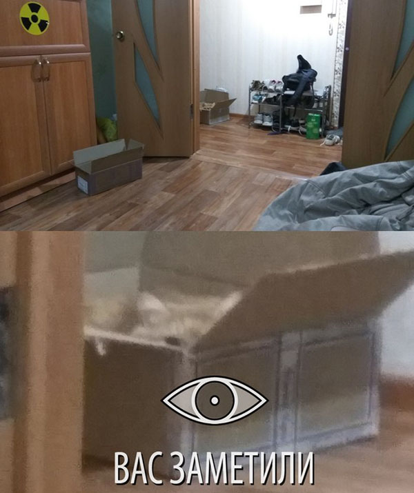 Юмор про игры, компьютеры, геймеров,ITшников и программистов