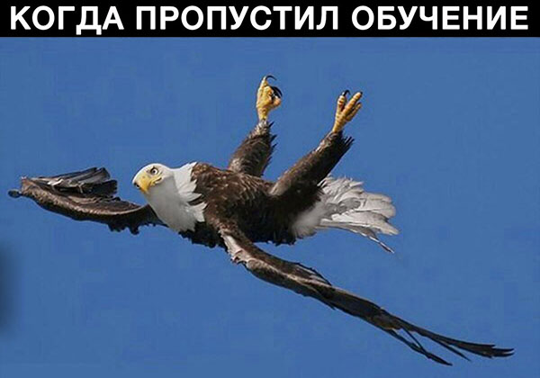 Юмор про игры, компьютеры, геймеров,ITшников и программистов