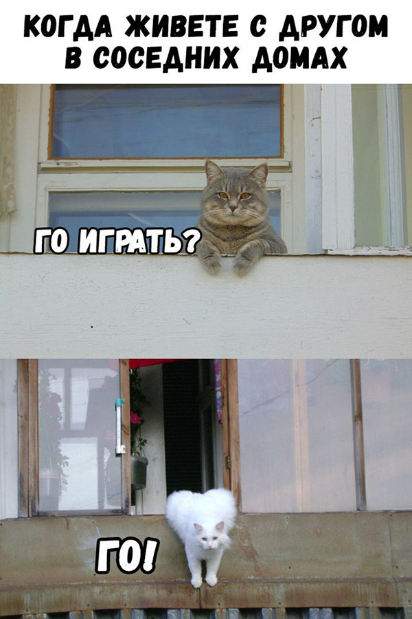 Юмор про игры, компьютеры, геймеров,ITшников и программистов