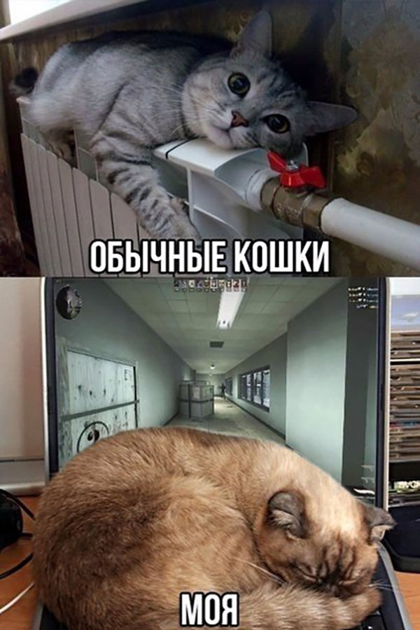 Юмор про игры, компьютеры, геймеров, ITшников и программистов