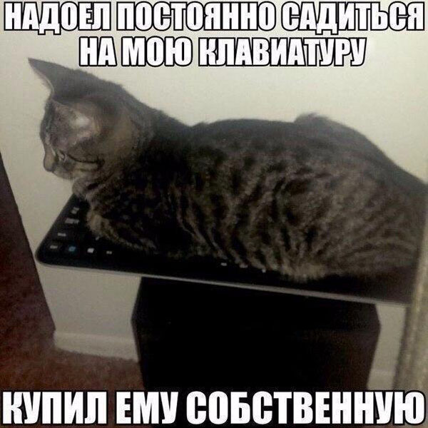 Юмор про игры, компьютеры, геймеров, ITшников и программистов