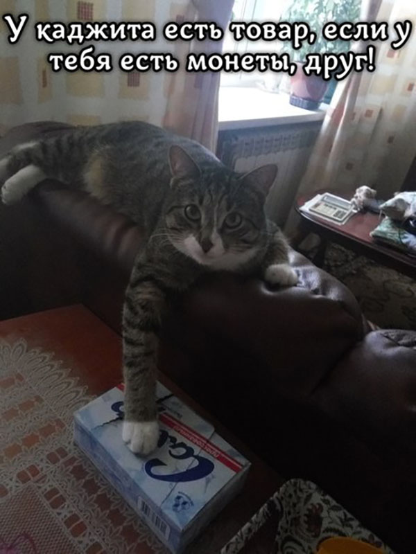 Юмор про игры, компьютеры, геймеров, ITшников и программистов