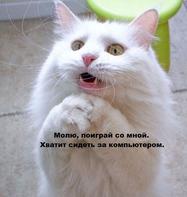 Юмор про игры, компьютеры, геймеров, ITшников и программистов