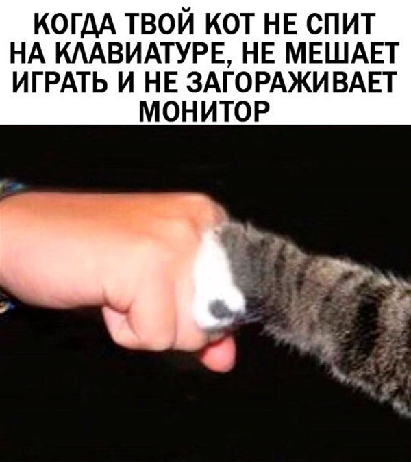 Юмор про игры, компьютеры, геймеров, ITшников и программистов