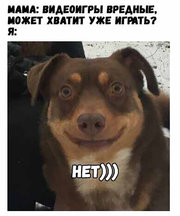 Юмор про игры, компьютеры, геймеров, ITшников и программистов