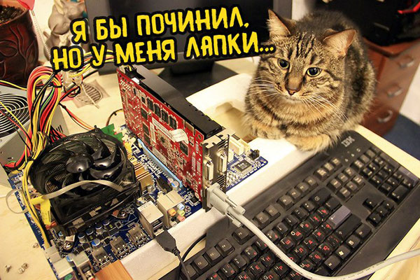 Юмор про игры, компьютеры, геймеров, ITшников и программистов