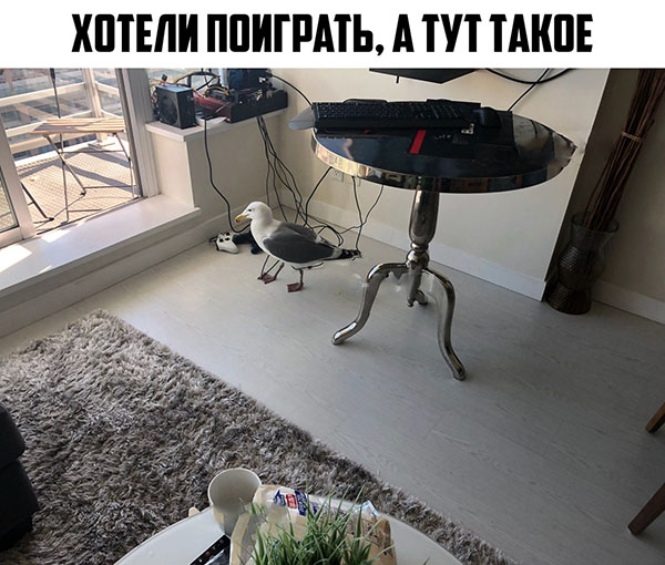 Юмор про игры, компьютеры, геймеров, ITшников и программистов