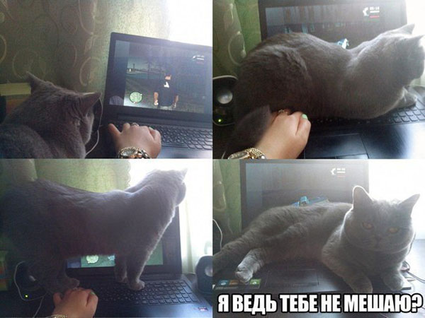 Юмор про игры, компьютеры, геймеров, ITшников и программистов