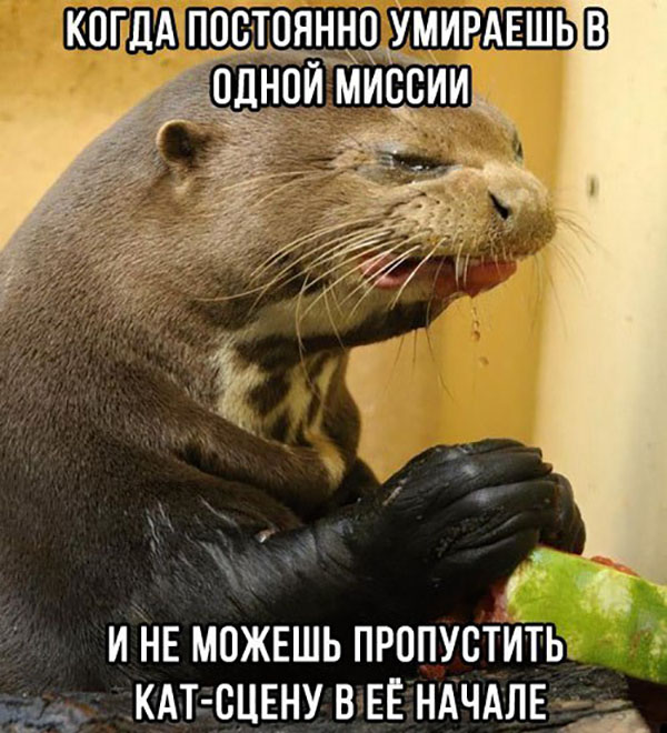 Юмор про игры, компьютеры, геймеров, ITшников и программистов