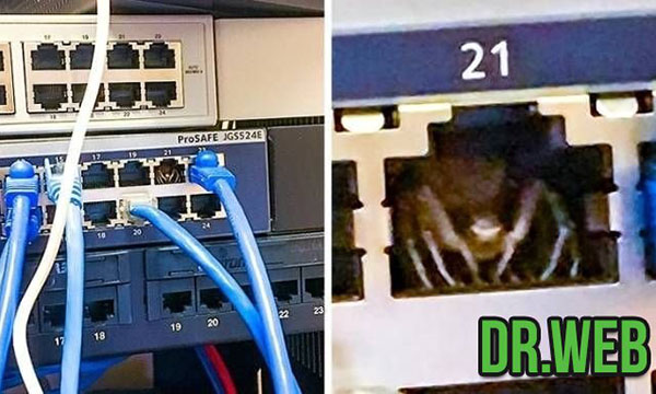 Юмор про игры, компьютеры, геймеров, ITшников и программистов