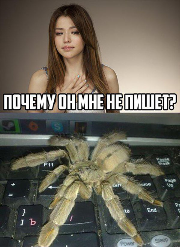 Юмор про игры, компьютеры, геймеров, ITшников и программистов