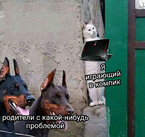 ћмор про игры, компьютеры, геймеров, ITшников и программистов