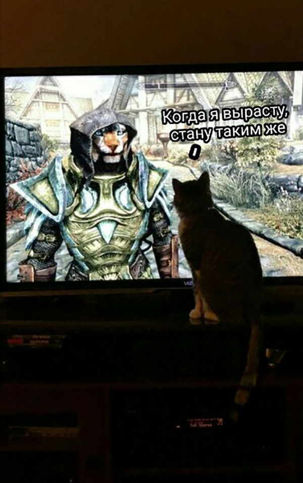 ћмор про игры, компьютеры, геймеров, ITшников и программистов