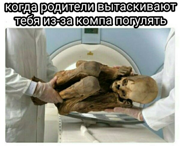 ћмор про игры, компьютеры, геймеров, ITшников и программистов