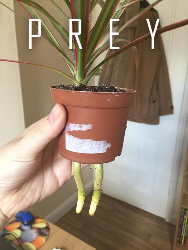 ћмор про игры, компьютеры, геймеров, ITшников и программистов