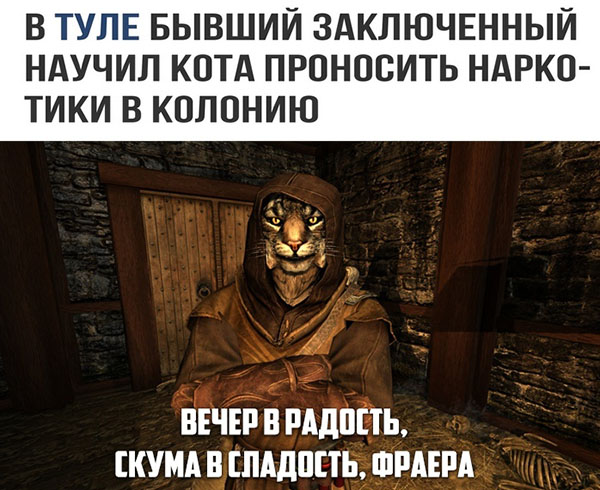 ћмор про игры, компьютеры, геймеров, ITшников и программистов