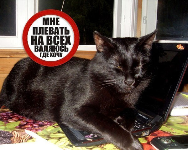 ћмор про игры, компьютеры, геймеров, ITшников и программистов