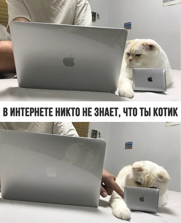 ћмор про игры, компьютеры, геймеров, ITшников и программистов