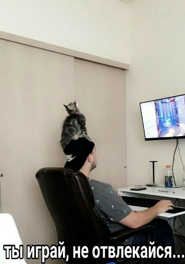 ћмор про игры, компьютеры, геймеров, ITшников и программистов