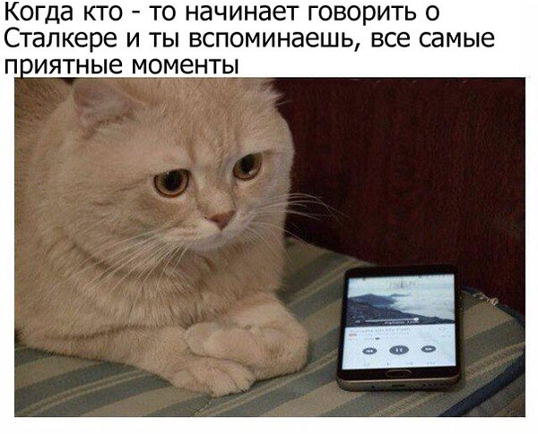 ћмор про игры, компьютеры, геймеров, ITшников и программистов