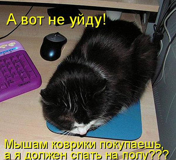 ћмор про игры, компьютеры, геймеров, ITшников и программистов