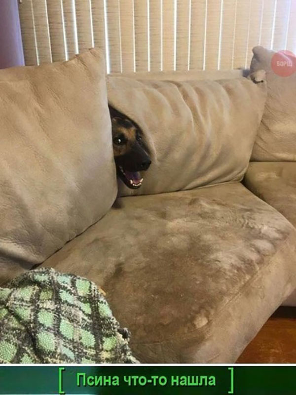 ћмор про игры, компьютеры, геймеров, ITшников и программистов