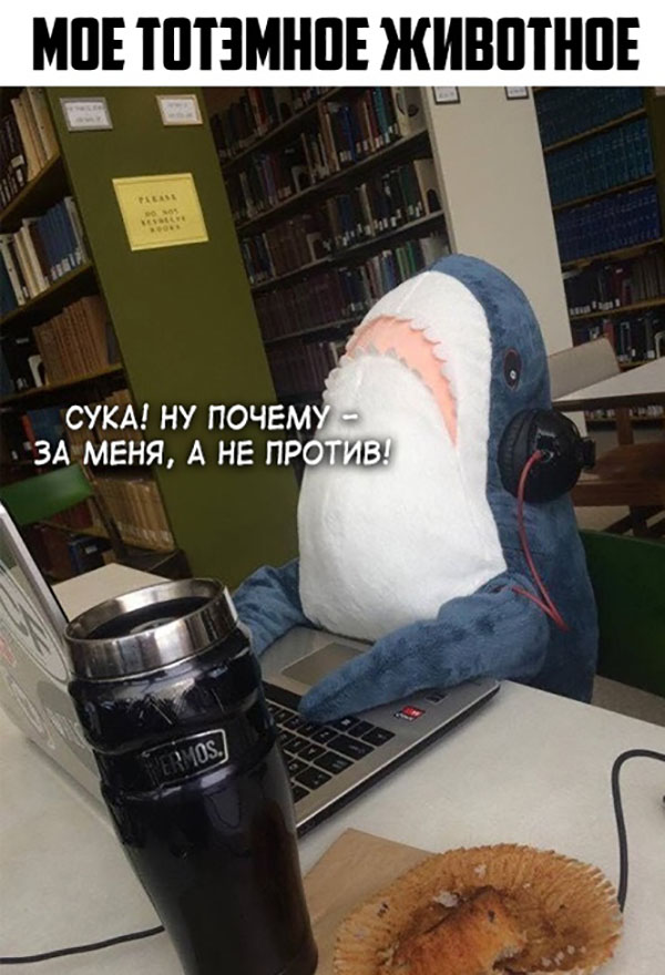 ћмор про игры, компьютеры, геймеров, ITшников и программистов