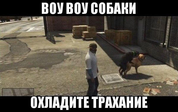 ћмор про игры, компьютеры, геймеров, ITшников и программистов