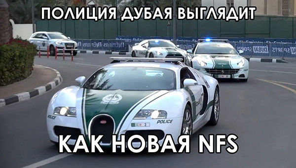 ћмор про игры, компьютеры, геймеров, ITшников и программистов