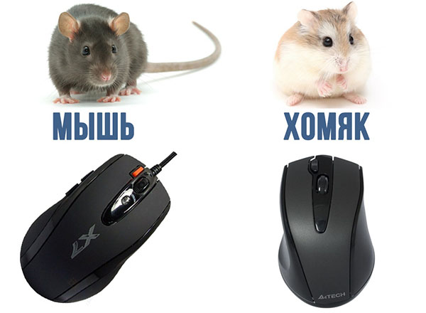 Юмор про игры, компьютеры, геймеров, ITшников и программистов