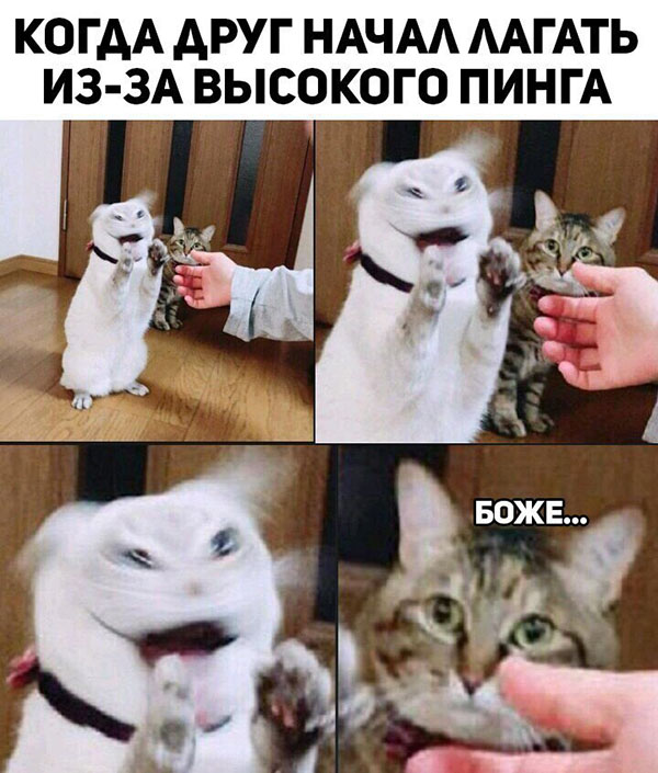 Юмор про игры, компьютеры, геймеров, ITшников и программистов