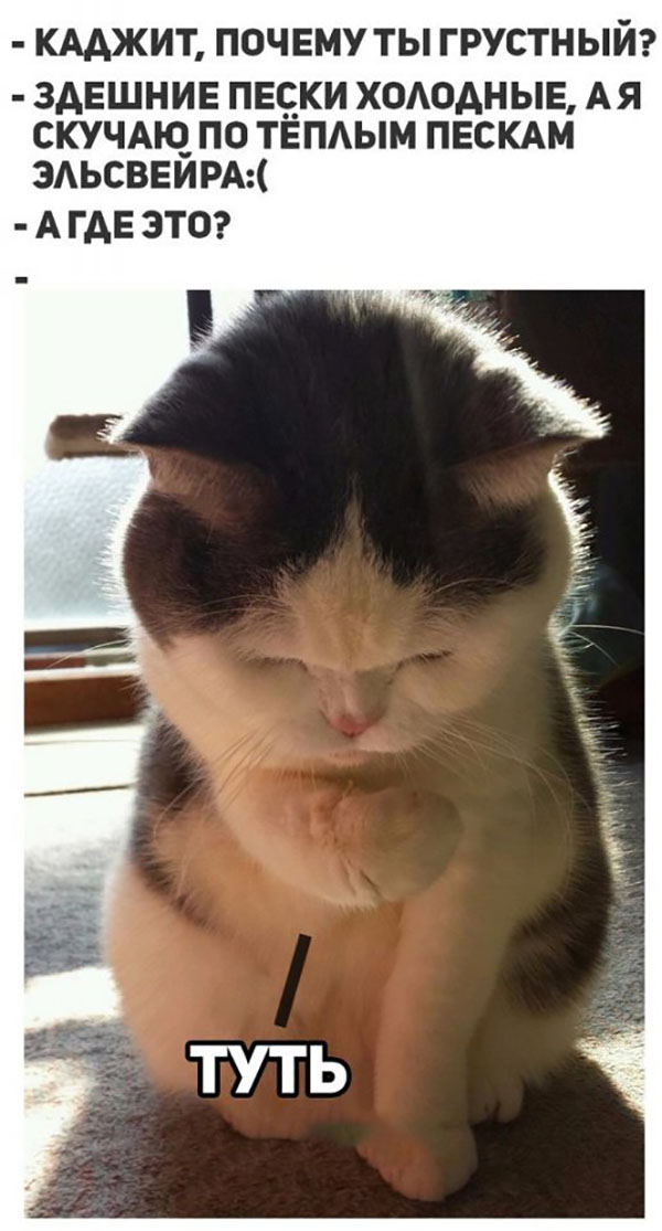 Юмор про игры, компьютеры, геймеров, ITшников и программистов